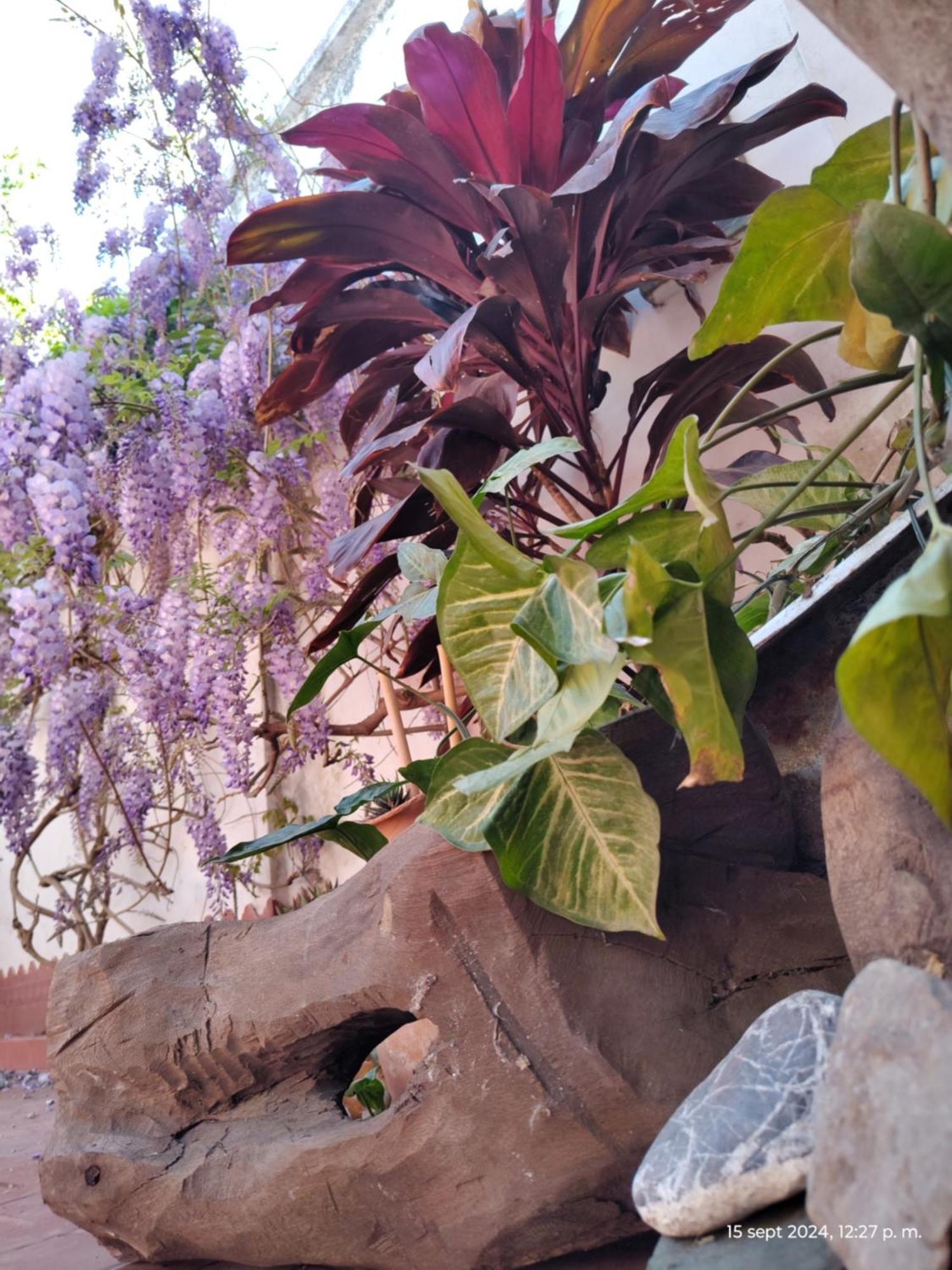 Casa Kuyay Villa San Salvador de Jujuy Bagian luar foto