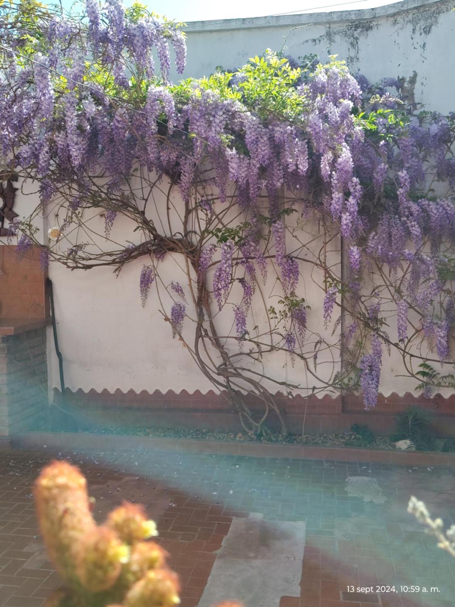 Casa Kuyay Villa San Salvador de Jujuy Bagian luar foto